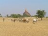 20050128_Bagan_04